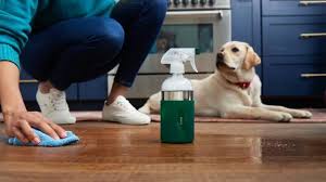 Pet-Friendly Cleaning Tips Every Homeowner Needs 1 pet-friendly house cleaning tips